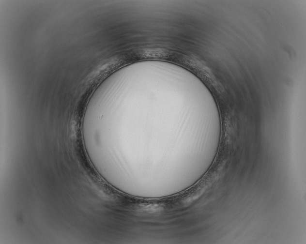 X0000113090161200909251018