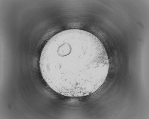 X0000113090162200909251018