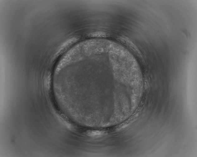 X0000113090163200909251018
