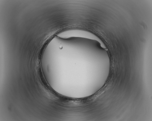 X0000113090164200909251018