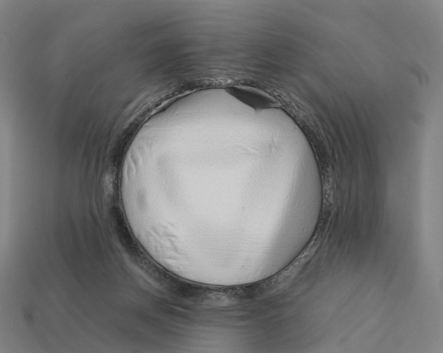 X0000113090166200909251018