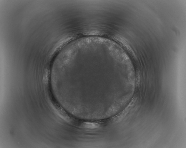 X0000113090167200909251018