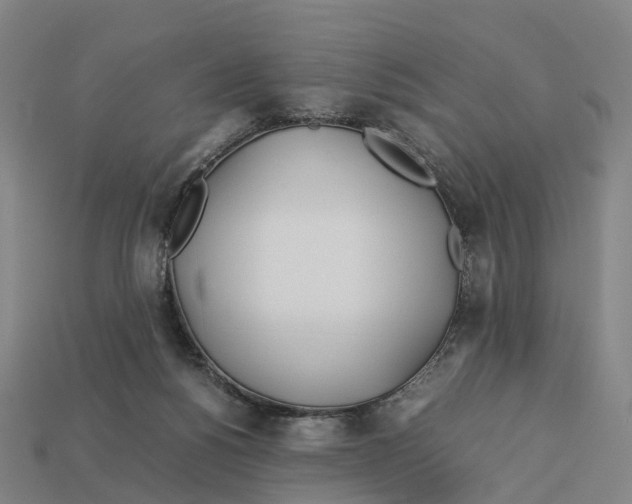 X0000113090168200909251018