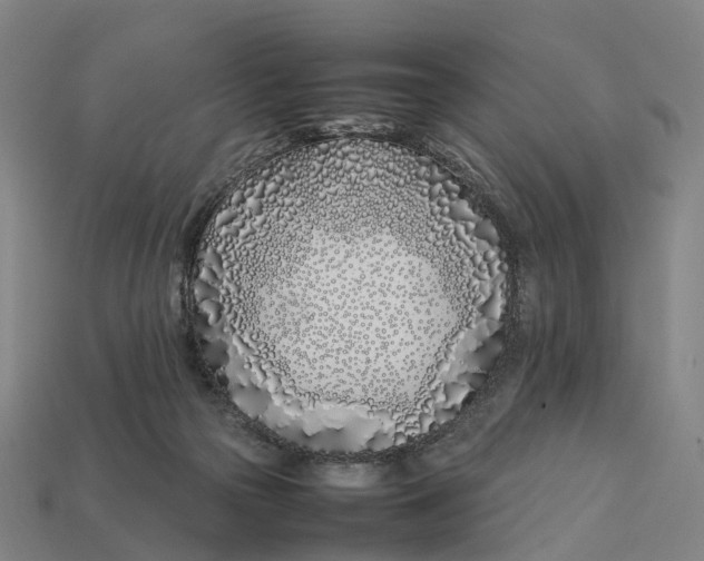 X0000113090169200909251018