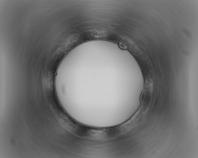 X0000113090170200909251018