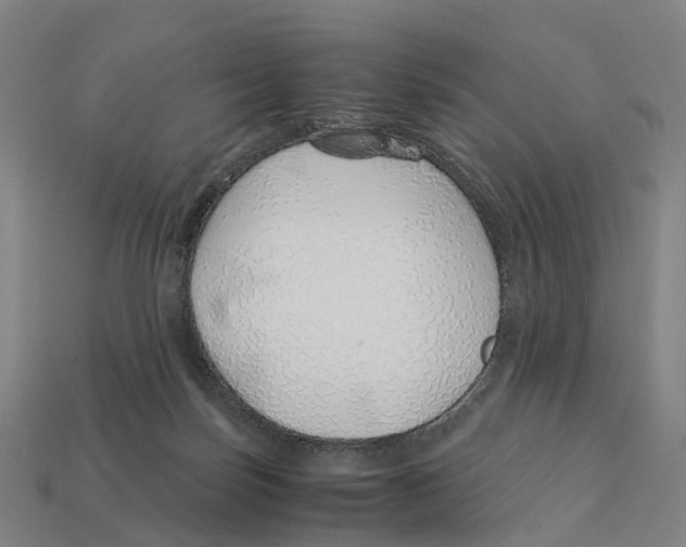 X0000113090171200909251018