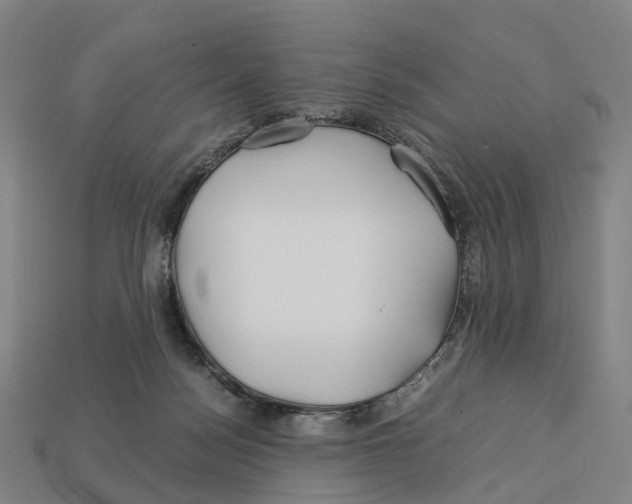 X0000113090172200909251018