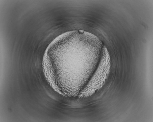 X0000113090173200909251018