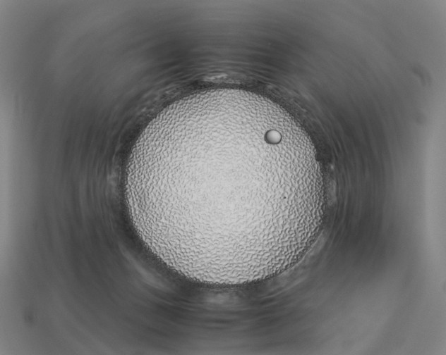 X0000113090175200909251018