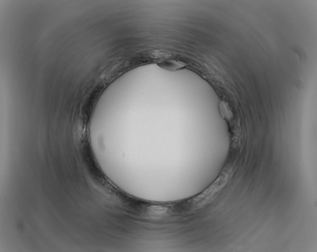 X0000113090176200909251018