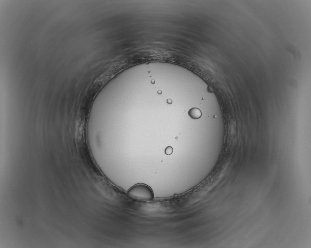 X0000113090177200909251018