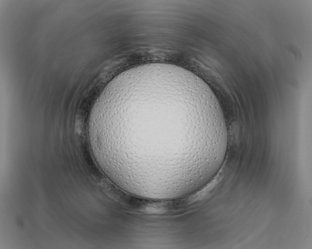 X0000113090178200909251018