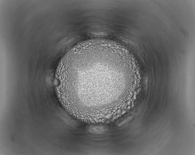 X0000113090181200909251018