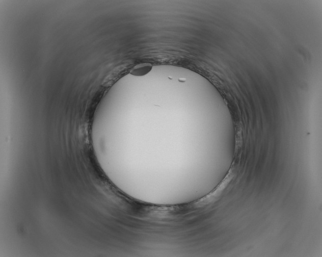 X0000113090182200909251018