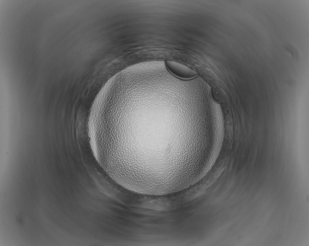 X0000113090185200909251018