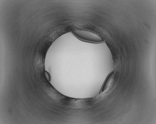 X0000113090186200909251018
