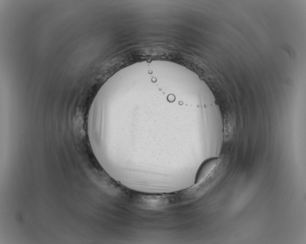 X0000113090187200909251018
