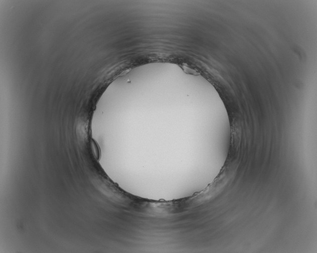 X0000113090188200909251018