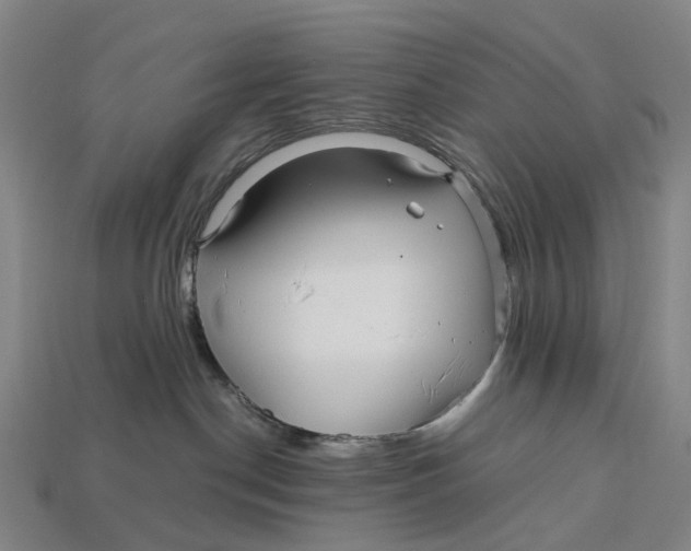 X0000113090190200909251018