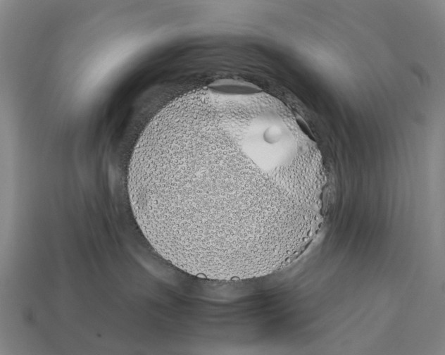 X0000113090191200909251018