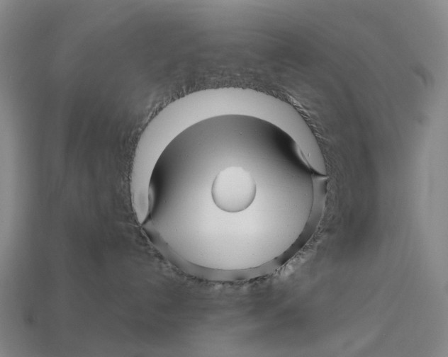 X0000113090192200909251018