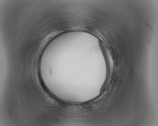 X0000113090193200909251017