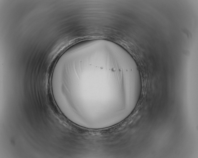 X0000113090194200909251017