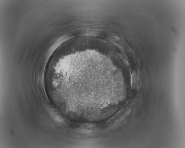 X0000113090195200909251017