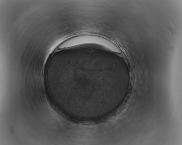 X0000113090196200909251017