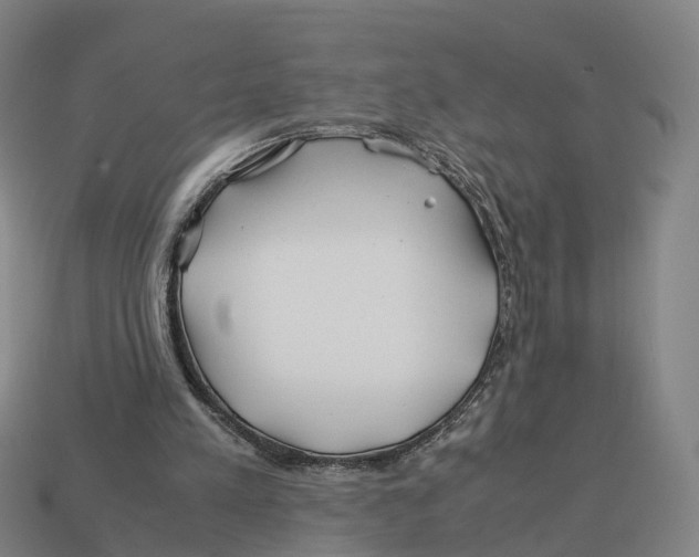 X0000113090197200909251017