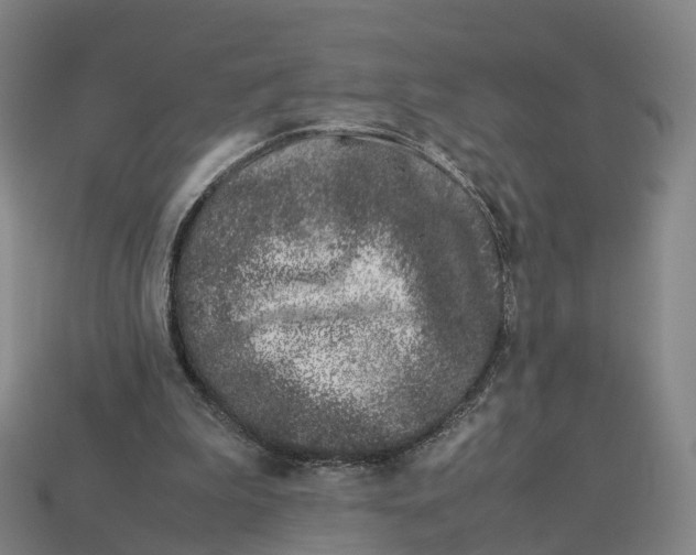 X0000113090199200909251017