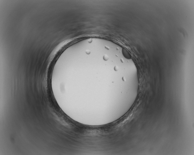 X0000113090200200909251017