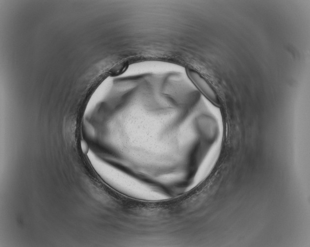 X0000113090201200909251017