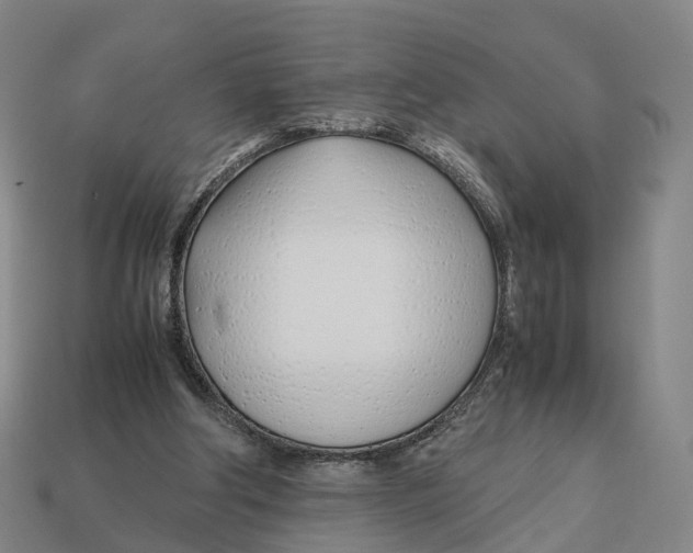 X0000113090202200909251017