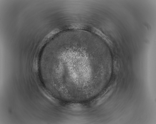 X0000113090203200909251017