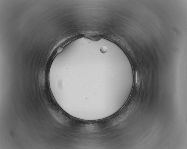 X0000113090204200909251017