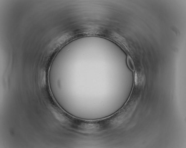 X0000113090205200909251017