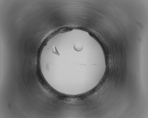 X0000113090208200909251017