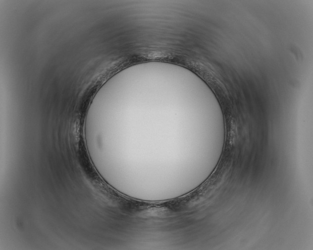 X0000113090210200909251017