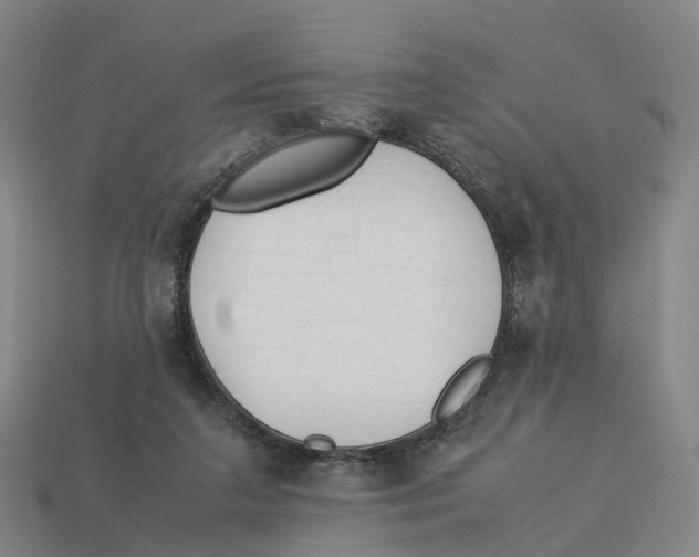 X0000113090211200909251017