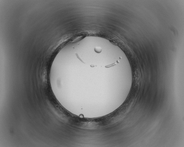 X0000113090212200909251017