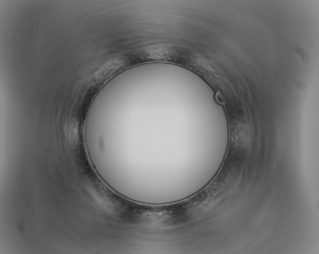 X0000113090213200909251017