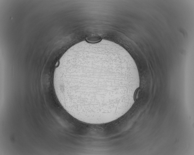 X0000113090215200909251017