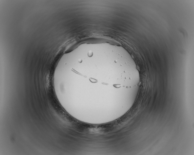 X0000113090216200909251017