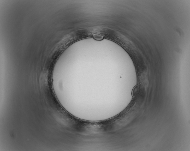 X0000113090217200909251017