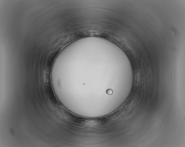 X0000113090218200909251017