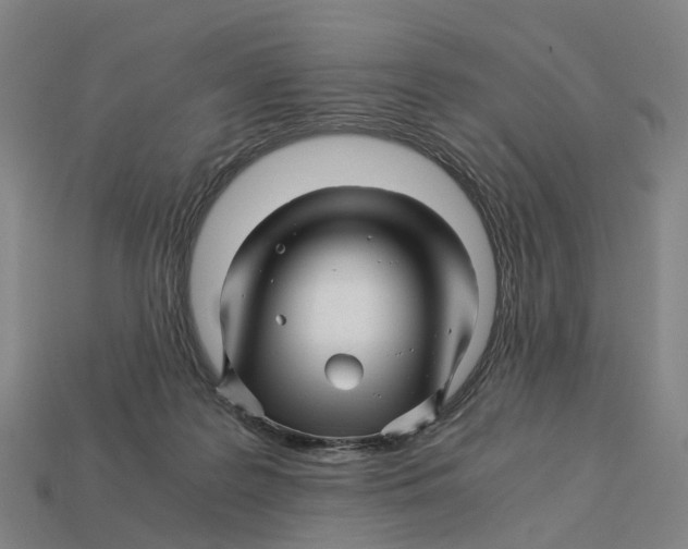 X0000113090219200909251017