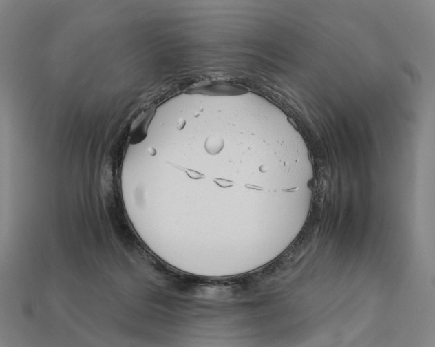 X0000113090220200909251017