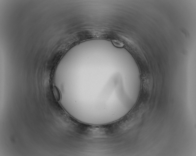 X0000113090221200909251017