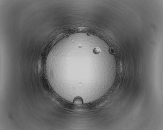 X0000113090222200909251017
